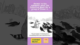 Collective Noun for a group of Crows #noun #nouns #nountypes #nouninenglish #partsofspeech #grammar