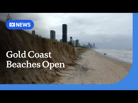 Easter holiday-makers urged to stick with beach plans despite Cyclone Alfred damage | ABC NEWS