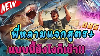 เว็บตรง true wallet เว็บสล็อตเว็บตรง เครดิตฟรี Shark Hunter