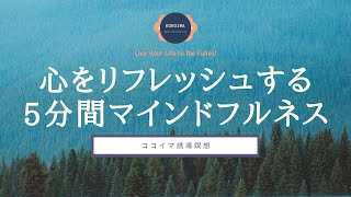 【5分】マインドフルな呼吸瞑想 | マインドフルネス | ココイマ | 誘導瞑想