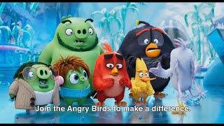 The Angry Birds & The UN Join Forces on the ActNow Climate Campaign