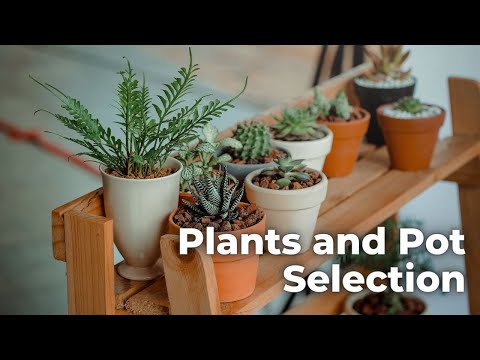 Plants and Pot Selection: Achieving the Perfect Balance Between Aesthetics and Functionality