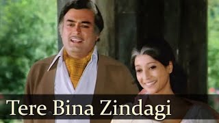 Tere Bina Zindagi Se Koi |AANDHI |Rd Burman |Kishore kumar Lata Mangeshkar |Cover By BinayJiyaa