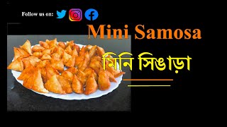 Rajasthani Mini Samosa;রাজস্থানি মিনি সামোসা;Vegan proteinaceous savoury snack,মজাদার বিকেলে স্ন্যাক