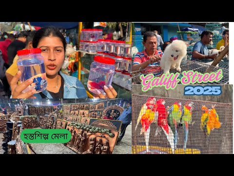 Kolkata Galiff Street Market 🐶🐠🕊🪴|| হস্তশিল্প মেলা 😍|| A Sunday Vlog 🫶🏻