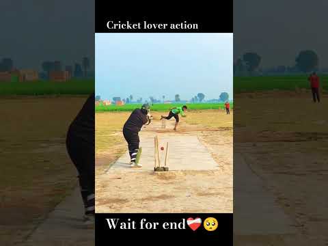 #cricket #cricketlover #viral #viralreels #siraj #viratkohli #short #shorts