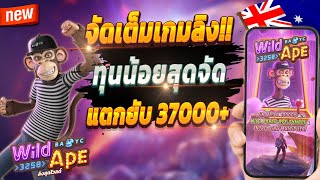 สูตรสล็อต สล็อตออนไลน์ สล็อตล่าสุด 2024 🎮 Wild Ape : จัดเต็มเกมลิงปังๆ