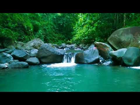 very nice and relaxing with 石の間を流れる穏やかな小川、鳥のさえずり、心地よい自然の音