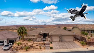 1455 Pomegranate Trail, Mesquite, NV