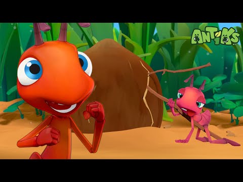 Breaking into the Treat! | Antiks 🐜 | Funny Cartoons for Kids