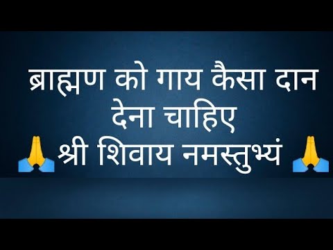 ब्राह्मण को गाय कैसा दान देना चाहिए- @panditpradeepmishrajikeupa9406