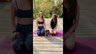 🏝️ Toronto Island Holistic Yoga Retreats with Montana & Sierra | Wellness from the Inside Out