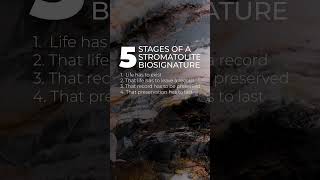 Astrobio Shorts: 5 Stages of a Stromatolite Biosignature with Dr. Lindsay Hays