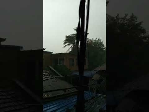 Barish 🌧️☔#youtubefeed #viralvedio #rain