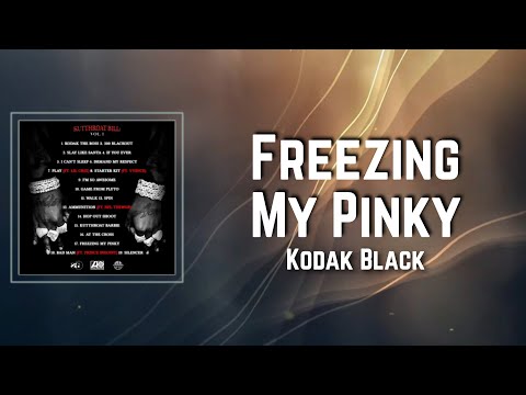 Freezing My Pinky Lyrics - Kodak Black