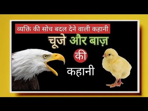 मुर्गी (चूज़े) और बाज़ की कहानी | Best powerfull motivational story in Hindi