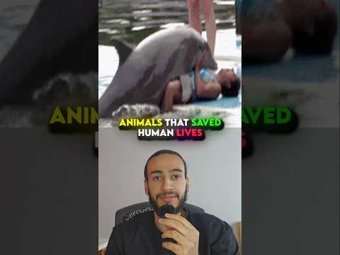 Animals That Saved Human Lives😱