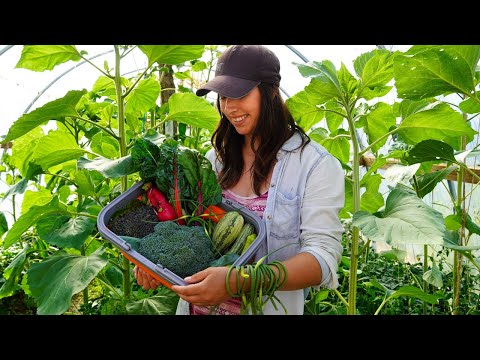 Summer Heat in the Garden | Radish Salsa & Pickled Garlic Scapes