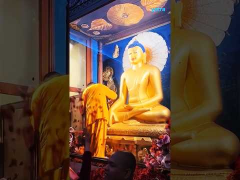 बुद्धं शरणं गच्छामिः #shorts #trending #newvideo #youtubeshorts #viralvideo #buddha #viral  #top