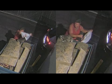 Person sought after throwing cat in dumpster