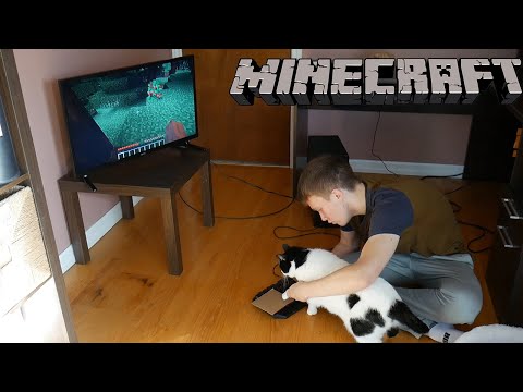 I Taught My Cat How To Play Minecraft