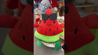 Cute and cuddly Watermelon at Five Below, Utah #foryou #watermelon #cute #cuddly #cutestuff #fyp