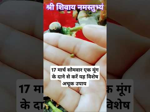 17 मार्च सोमवार एक मूंग दाना विशेष उपाय #pradeepmishrajidhankeupay #shortsfeed #upay #shiv #live