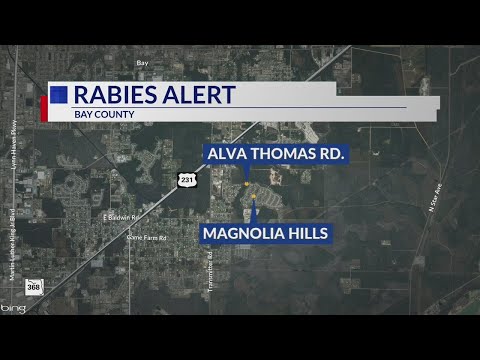 Bay County residents urged to take precautions against rabies