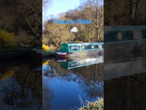 Walk in the English Countryside #shortsfeed #nature #uk #walk #shorts #water