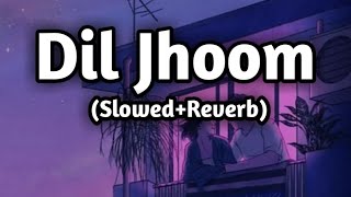 Dil Jhoom Song||Gather 2 || Lofi song || (Slowed+Reverb)|| #slowedrever#viral #diljhoom#viral #music