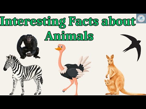 Interesting Facts about  Animals I Facts about Animals for Kids I GK for kids |