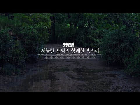 Early morning, cool and refreshing sound of rain ASMR