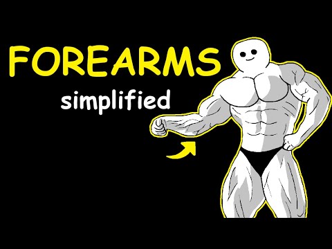 Bodybuilding Simplified: Forearms