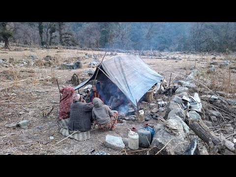 This is Himalayan Life | Himalayan Sheep Shepherd Life | Nepal🇳🇵|Ep- 334 | Shepherd Food Cooking