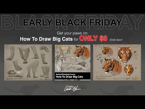 🐆✏️ How to Draw Cheetahs - Drawing Big Cats 1 Hour Class Sneak Peek!