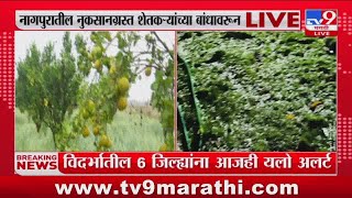 Nagpur Breaking | नागपूर जिल्ह्यासह विदर्भात दुसऱ्या दिवशीही गारपिटीचा फटका : tv9 Marathi