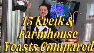 15 Norwegian Kveik and Farmhouse yeasts head to head comparisons - Part 1 of 4