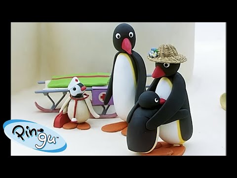 Pingu And his Grandpa 🐧 | Pingu - Official Channel | Cartoons For Kids