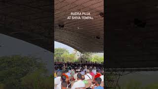 Rudra Puja at Bangalore Ashram #artofliving #rudrapuja