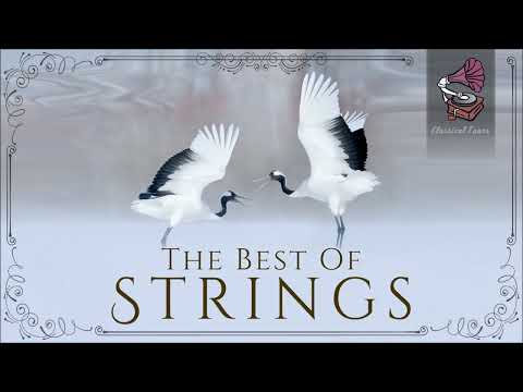 The Best Of Strings