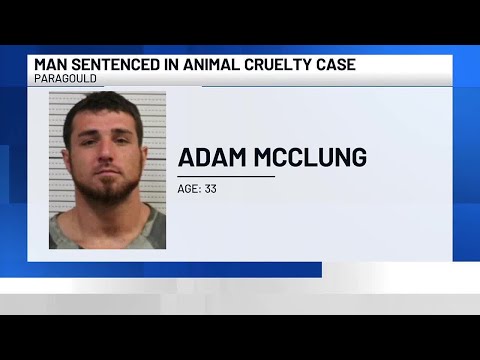 Man who ‘stomped’ dog to death avoids prison time, still faces federal charge