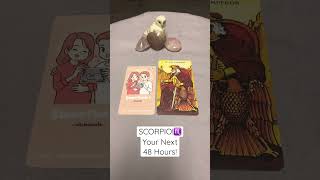 SCORPIO! Your Next 48 Hours! #scorpio #next48hours #tarot #shorts