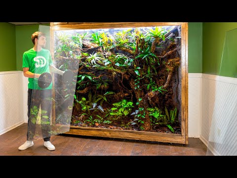 Dismantling the 600 Gallon Jungle Vivarium