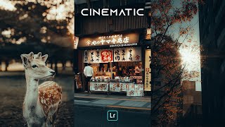 POV CINEMATIC Presets - Lightroom Mobile Preset Free DNG | POV Street Photography Presets