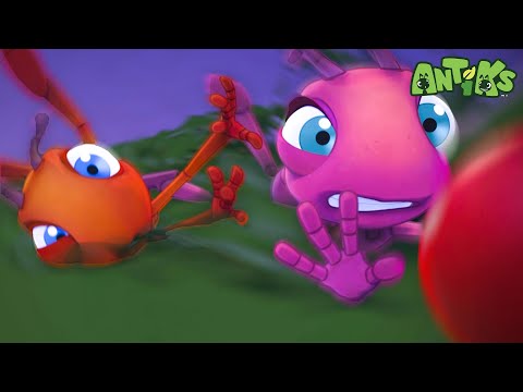 Insane in the Drain | 1 Hour Antiks Full Episodes | Funny Insect Cartoons for Kids