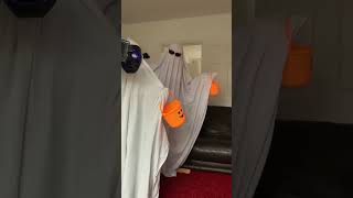 Sunny and Bunny Halloween Adventure | Ghosts for Kids l Happy Halloween ghost scary l Trick or Treat