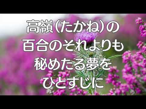 あざみの歌　昭和の歌　ラジオ歌謡・国民歌謡　歌詞入り