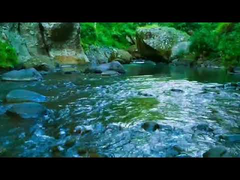 very nice and relaxing with 石の間を流れる穏やかな小川、鳥のさえずり、心地よい自然の音