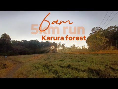 My First 5KM Run at Karura Forest | Beginner's Running Journey