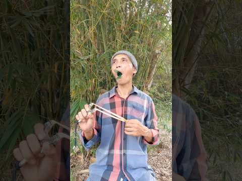 Bird Mimicry from a Bamboo Refuge #entertainment #birdsounds #shorts #camping #survival